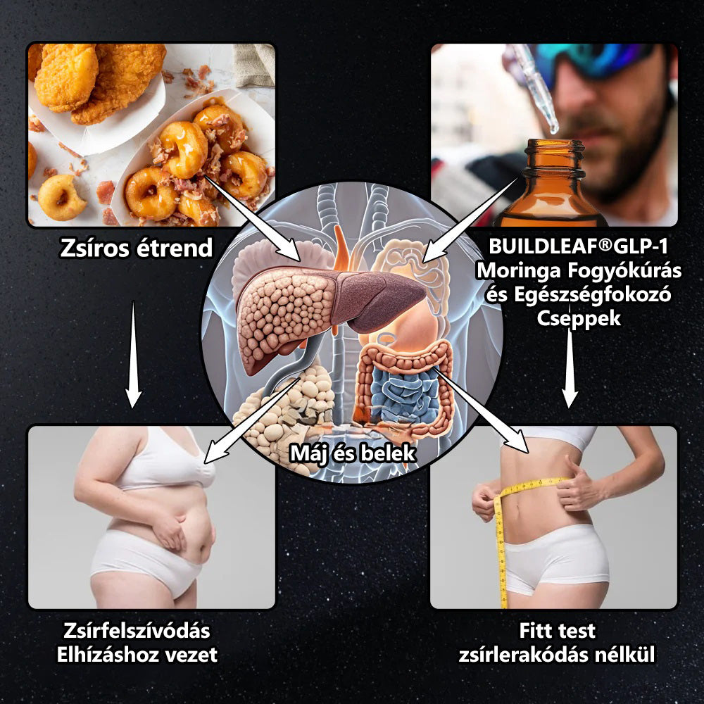 đ„ A Magyar Diabetes TĂĄrsasĂĄg (MDT) fejlesztĂ©se | BuildLeafÂź Natural GLP-1 Cseppek â TermĂ©szetes FogyĂĄs Ă©s Anyagcsere-fokozĂłđ„ Nincs szĂŒksĂ©g szigorĂș diĂ©tĂĄra, heti 4-6 kg fogyĂĄs